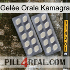 Gelée Orale Kamagra 07